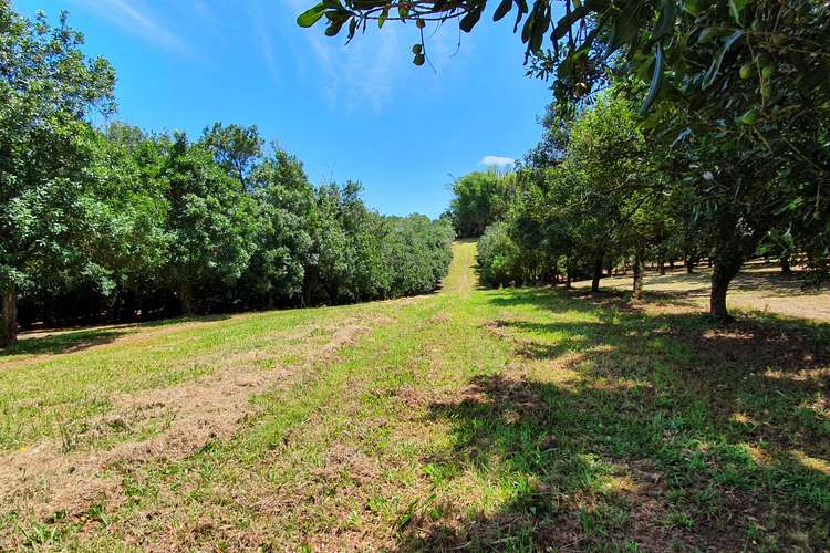 Seventh view of Homely horticulture listing, 148 Humpty Back Road, Mcleans Ridges NSW 2480