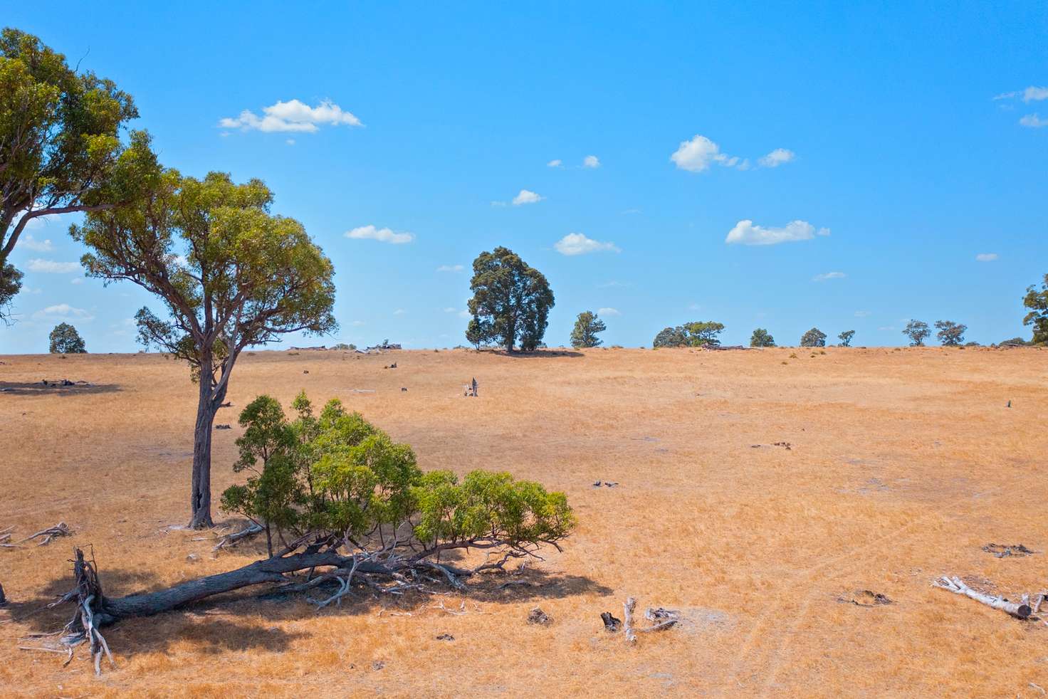 Main view of Homely ruralOther listing, Lot 2280 Irishtown Road, Donnybrook WA 6239