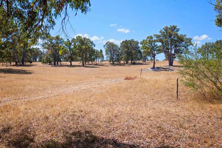 Seventh view of Homely ruralOther listing, Lot 2280 Irishtown Road, Donnybrook WA 6239