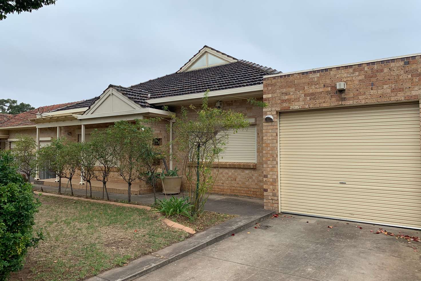 Main view of Homely house listing, 19 Almond Avenue, Glynde SA 5070