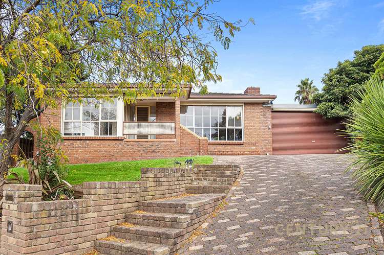 Main view of Homely house listing, 12 Dampier Court, Endeavour Hills VIC 3802