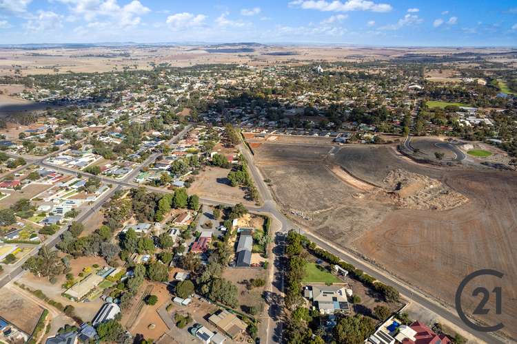 Fifth view of Homely residentialLand listing, Lot 101 Day Street, Kapunda SA 5373