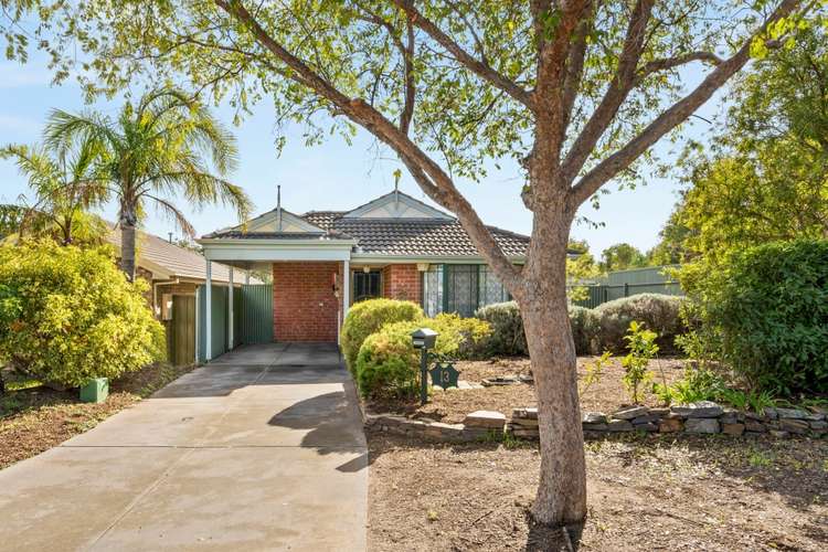 Main view of Homely house listing, 13 Peppermint Grove, Noarlunga Downs SA 5168