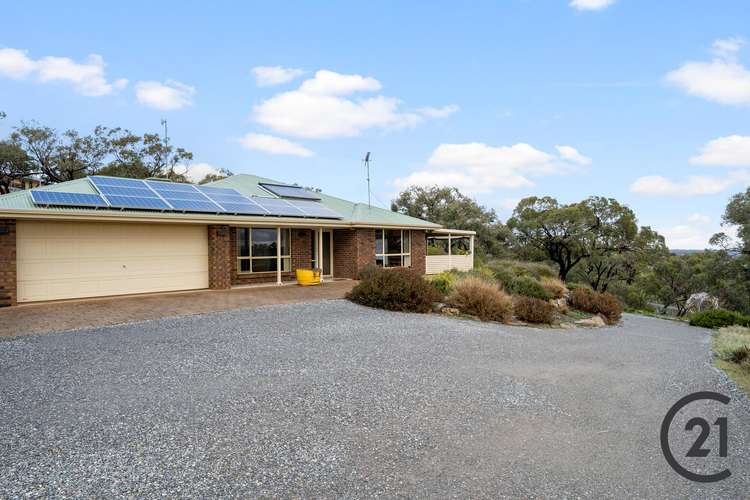 Third view of Homely acreageSemiRural listing, 72 Penrice Road, Penrice SA 5353