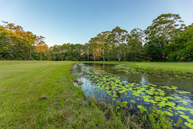 Fifth view of Homely house listing, 48 London Creek Road, Peachester QLD 4519