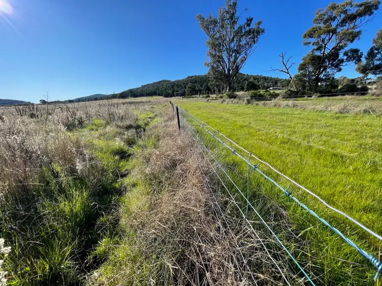 Third view of Homely rural property listing, 8186B The Escort Way, Eugowra NSW 2806