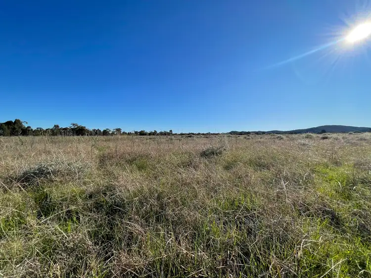 Fourth view of Homely rural property listing, 8186B The Escort Way, Eugowra NSW 2806
