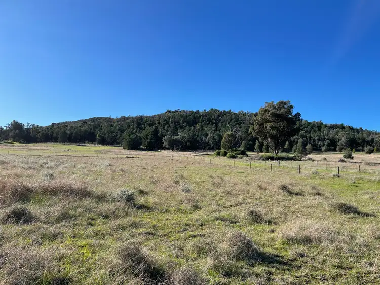 Fifth view of Homely rural property listing, 8186B The Escort Way, Eugowra NSW 2806