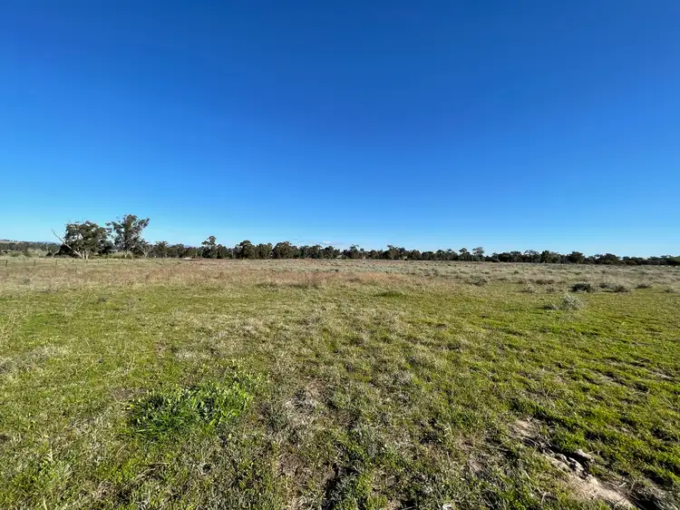Sixth view of Homely rural property listing, 8186B The Escort Way, Eugowra NSW 2806
