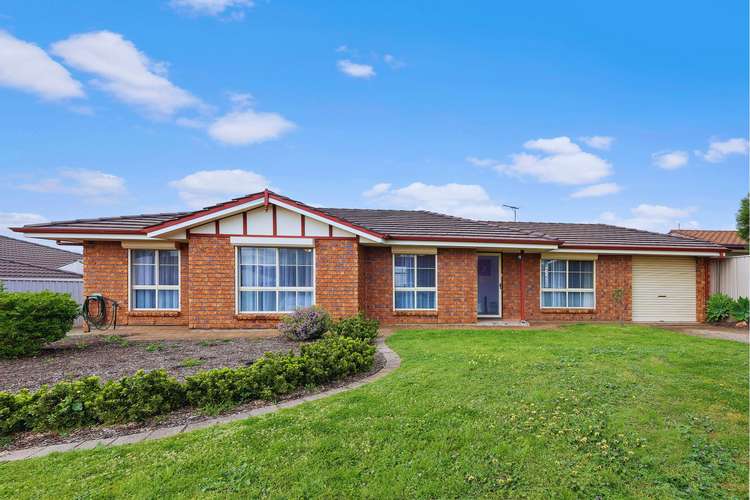 Main view of Homely house listing, 1/12 Buttercup Grove, Morphett Vale SA 5162