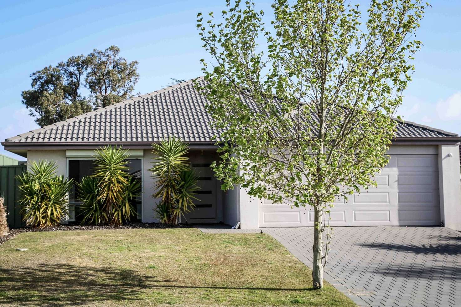 Main view of Homely house listing, 130 Clyde Avenue, Baldivis WA 6171