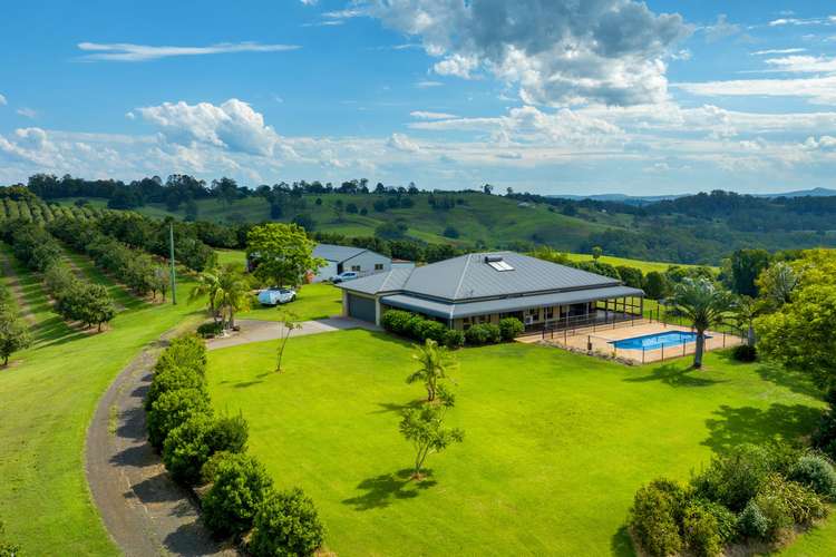 Main view of Homely horticulture listing, 1239 Dunoon Road, Dunoon NSW 2480