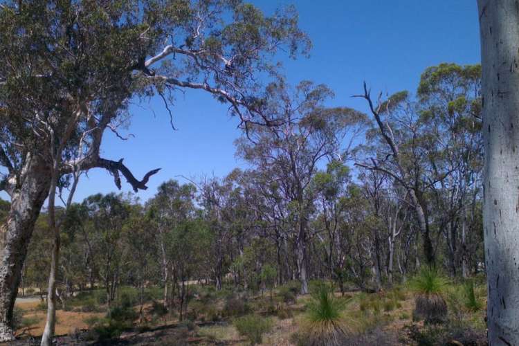 Seventh view of Homely residentialLand listing, 325 Coondle West Road, Coondle WA 6566