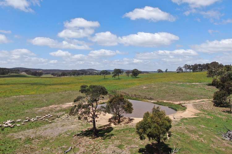 Main view of Homely ruralOther listing, 104 Annies Lane, Wayo NSW 2580