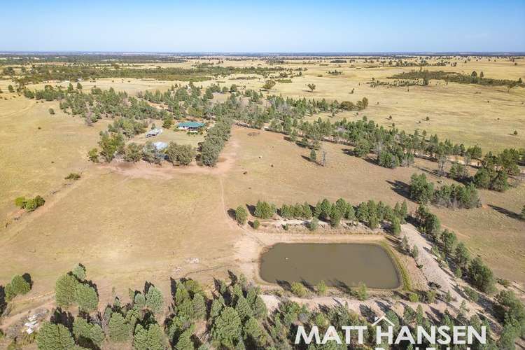Main view of Homely acreageSemiRural listing, 2369 Tantitha Road, Tomingley NSW 2869