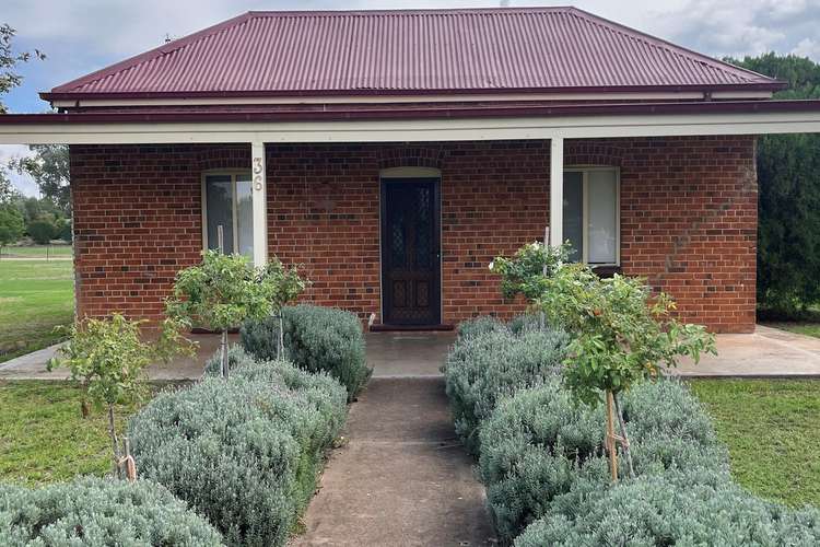 Main view of Homely house listing, 36 Walton Street, Boggabri NSW 2382