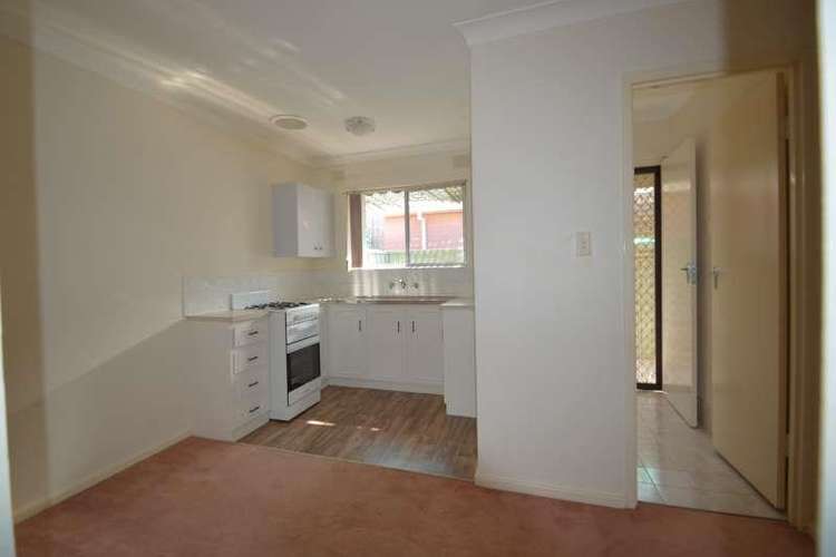 Fifth view of Homely unit listing, 3/12 Le Cornu Street, Broadview SA 5083