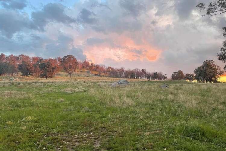 Second view of Homely ruralOther listing, Lot 102 Jenkyn Lane, Uralla NSW 2358