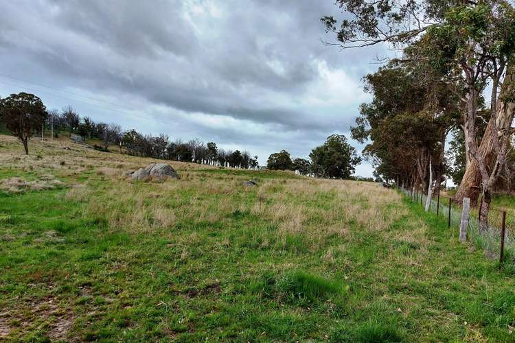 Fifth view of Homely ruralOther listing, Lot 102 Jenkyn Lane, Uralla NSW 2358