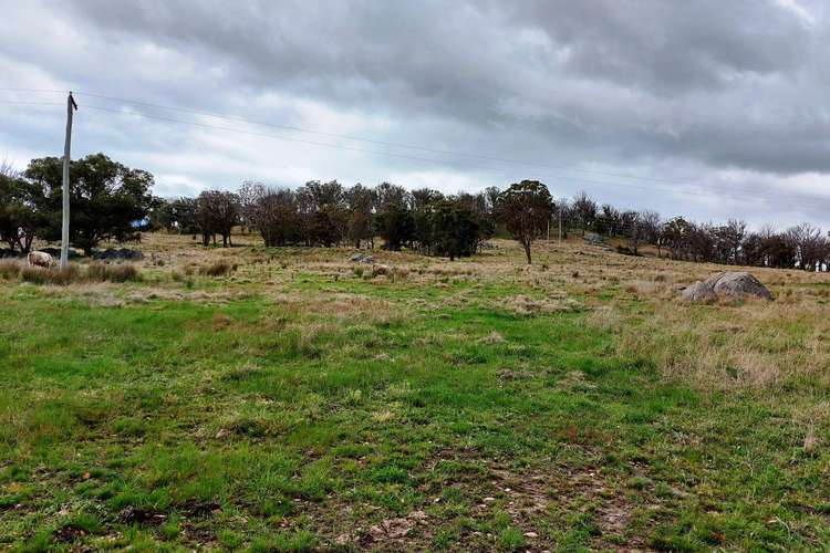 Sixth view of Homely ruralOther listing, Lot 102 Jenkyn Lane, Uralla NSW 2358