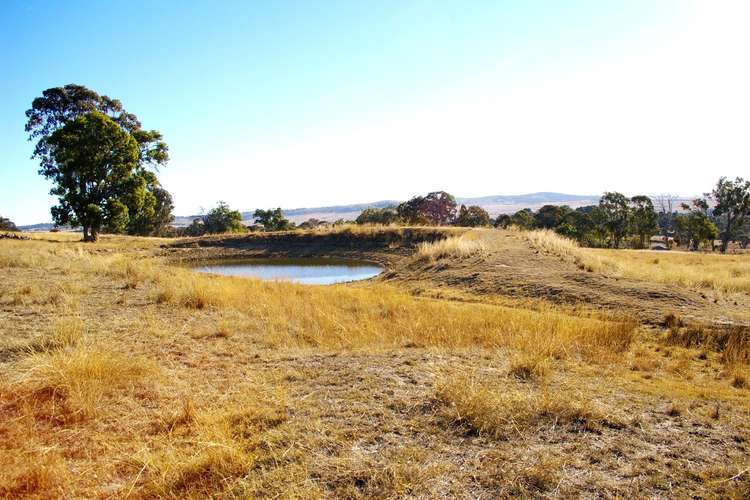 Seventh view of Homely ruralOther listing, Lot 102 Jenkyn Lane, Uralla NSW 2358