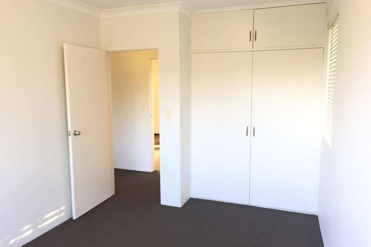 Third view of Homely apartment listing, 3/3-7 Lexington Place, Maroubra NSW 2035