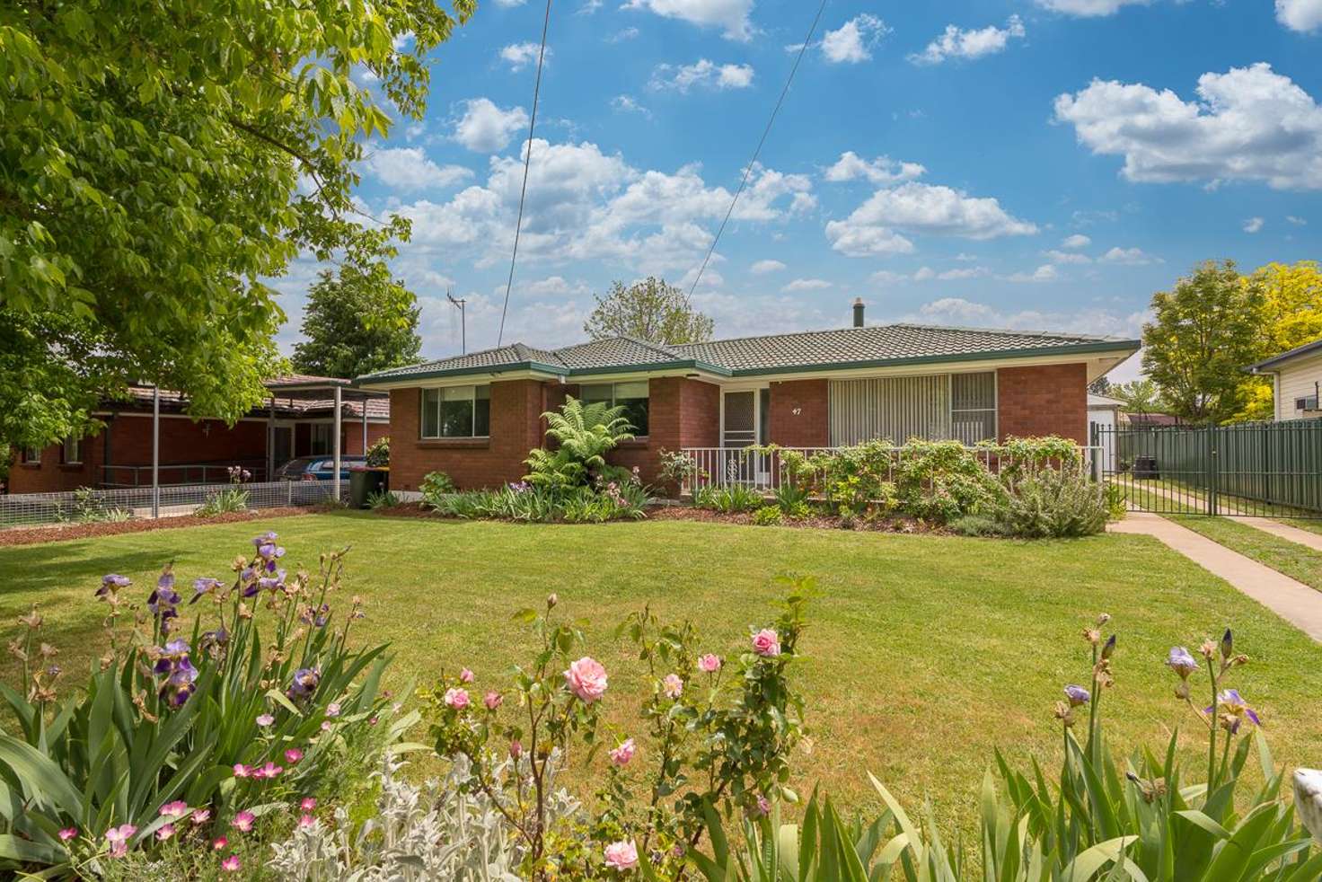 Main view of Homely house listing, 47 Kenna Street, Orange NSW 2800