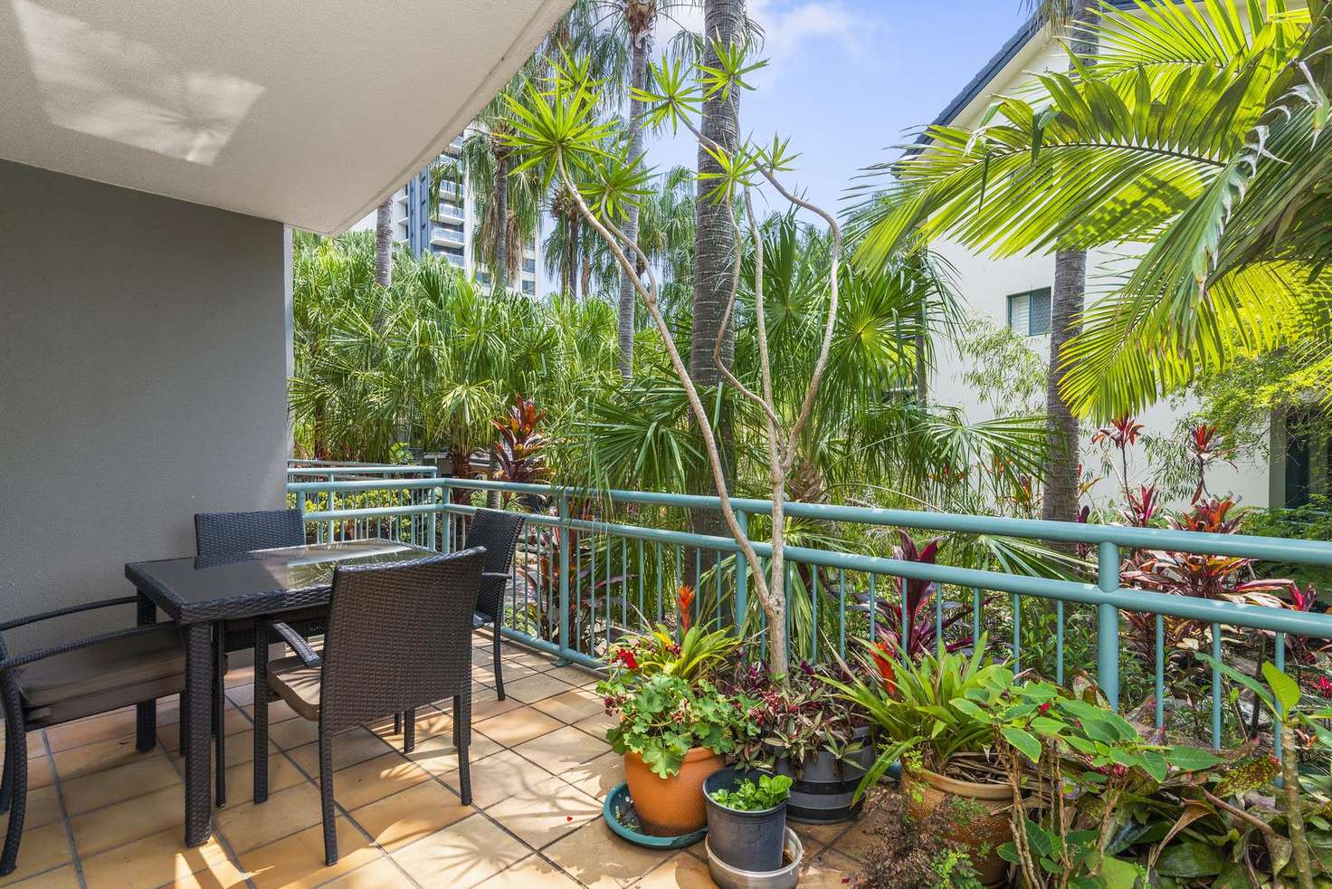 Main view of Homely unit listing, 84/955 Gold Coast Highway, Palm Beach QLD 4221