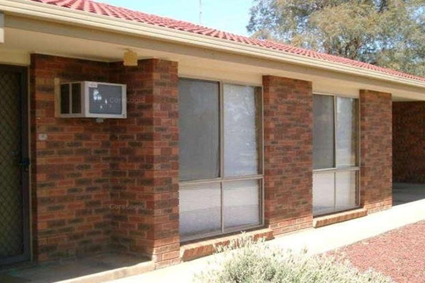 Main view of Homely unit listing, 3/12 Bulolo St, Ashmont NSW 2650