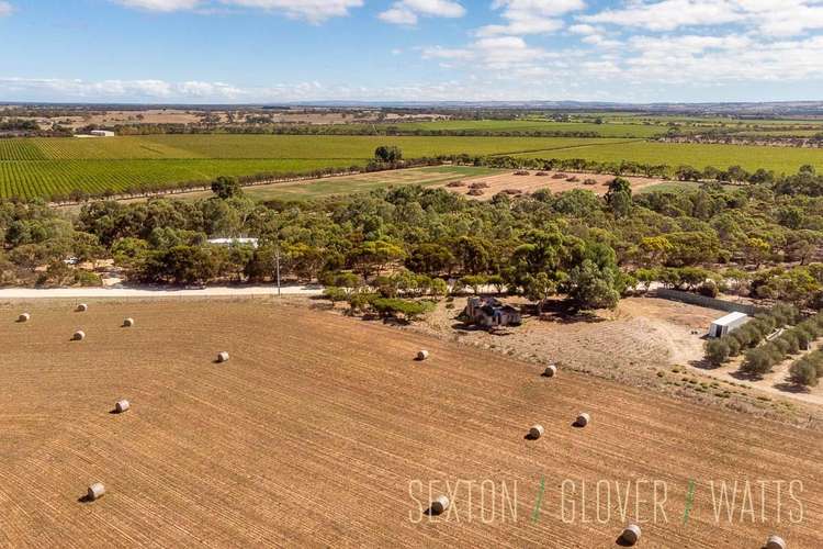 Fifth view of Homely residentialLand listing, Lot 31 Angas Plains Road, Belvidere SA 5255