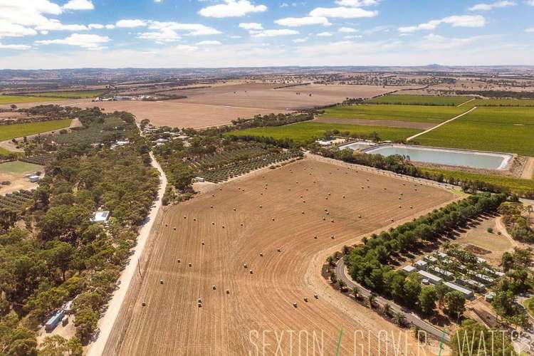 Seventh view of Homely residentialLand listing, Lot 31 Angas Plains Road, Belvidere SA 5255