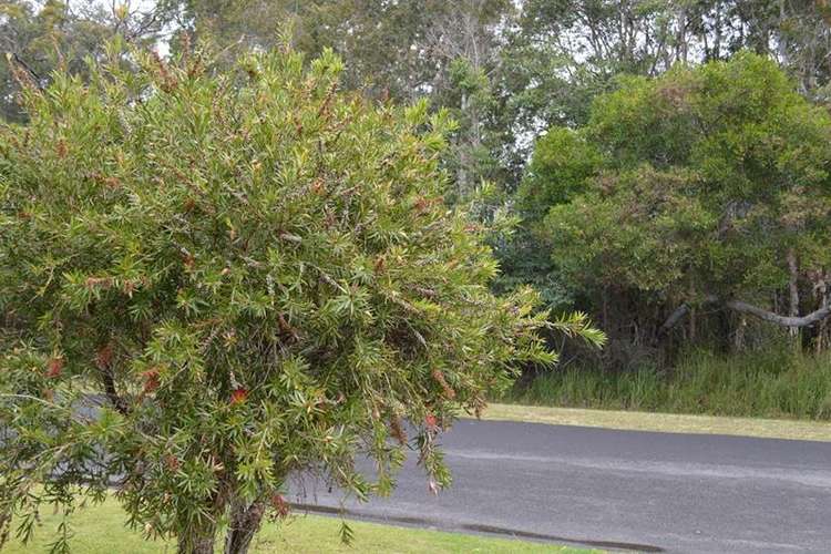Fifth view of Homely house listing, 1 Cox Street, Yamba NSW 2464