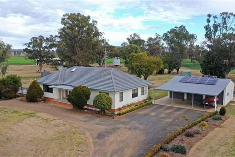 Sixth view of Homely mixedFarming listing, 10737 Kamilaroi Highway, Gunnedah NSW 2380