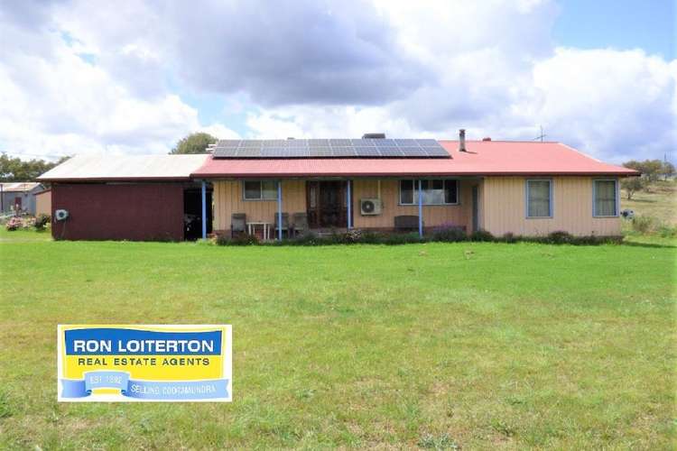 3134 Olympic Highway, Junee NSW 2663