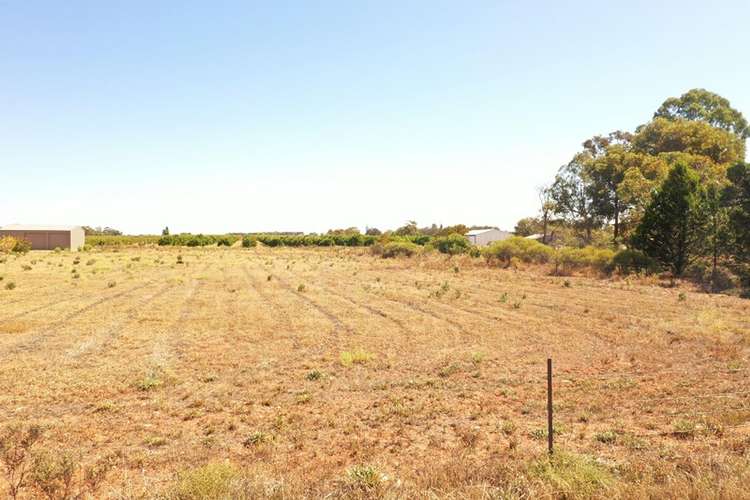 Third view of Homely residentialLand listing, Lot 122 Pope Road, Waikerie SA 5330
