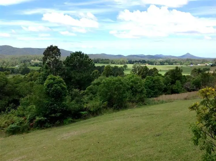 1134 Markwell Rd, Markwell NSW 2423