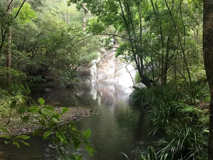 Main view of Homely rural property listing, 1169 Markwell Rd, Markwell NSW 2423