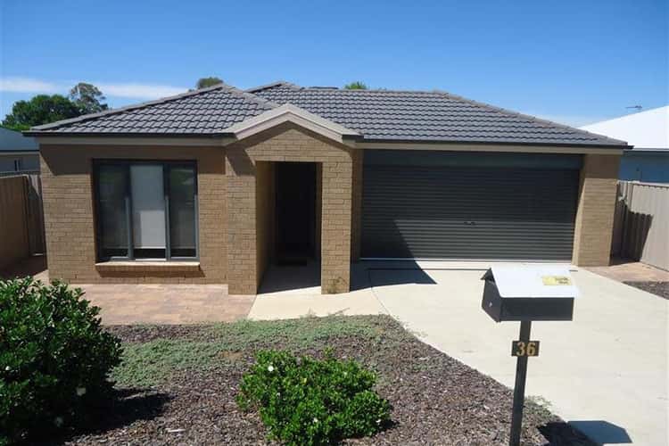 Main view of Homely house listing, 36 Bradman Dr, Boorooma NSW 2650