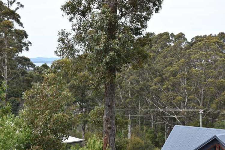 Main view of Homely residentialLand listing, LOT 43, 17B Christina Crescent, Denmark WA 6333