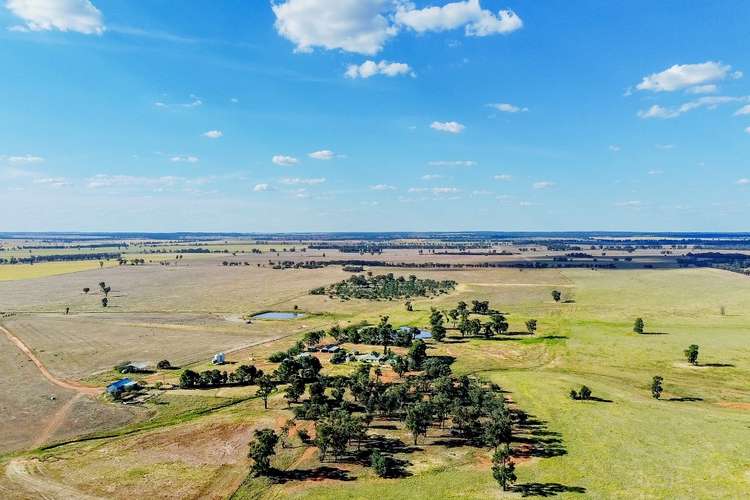 Main view of Homely mixedFarming listing, 695 Quilties Corner Road, Buddigower, West Wyalong NSW 2671