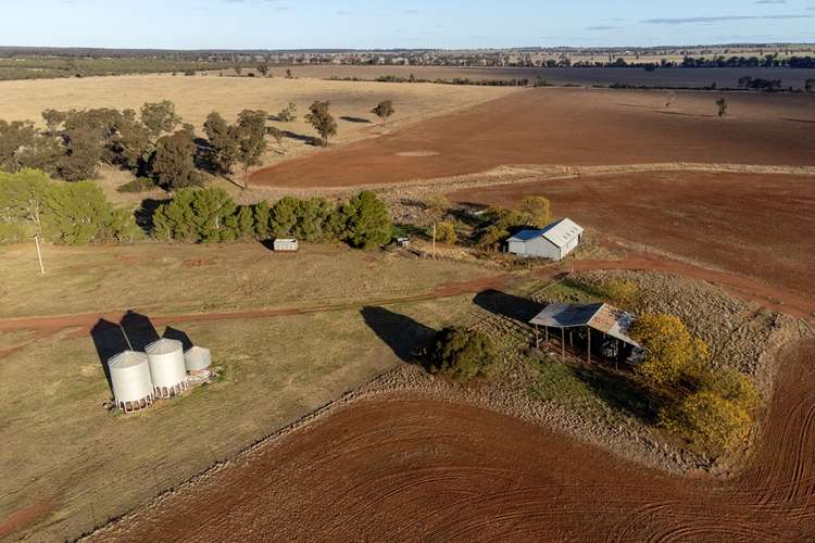 Second view of Homely mixedFarming listing, 695 Quilties Corner Road, Buddigower, West Wyalong NSW 2671