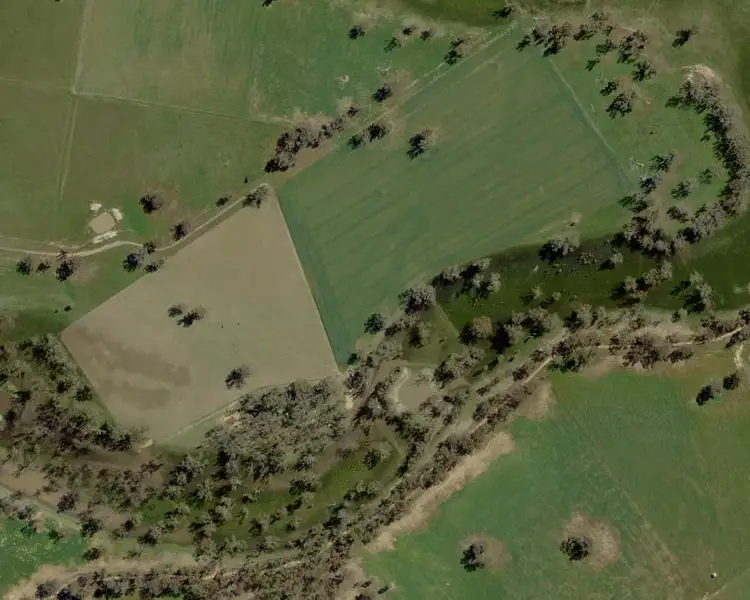 Main view of Homely rural property listing, 1359 Saddleback Road, Forbes NSW 2871