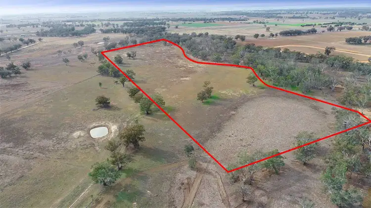 Second view of Homely rural property listing, 1359 Saddleback Road, Forbes NSW 2871