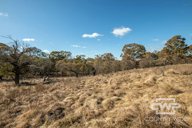 Third view of Homely residentialLand listing, 228 Ben Lomond Road, Guyra NSW 2365