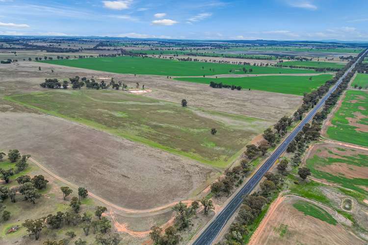 Main view of Homely mixedFarming listing, 1111 Newell Highway, Wyalong NSW 2671