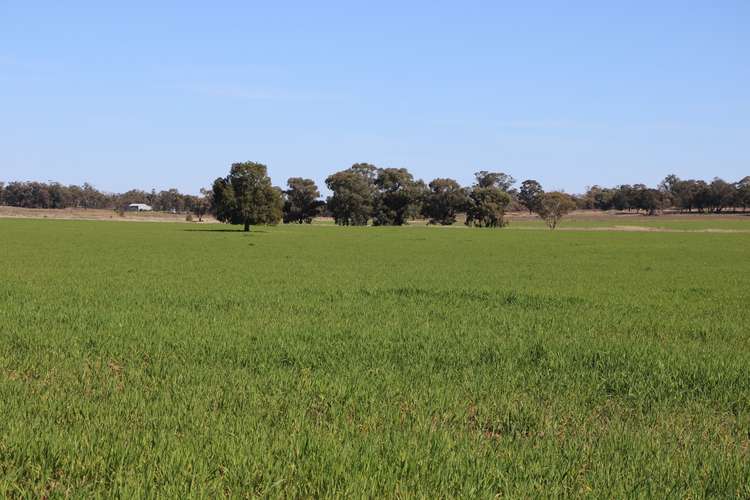 Back Trundle Road, Parkes NSW 2870