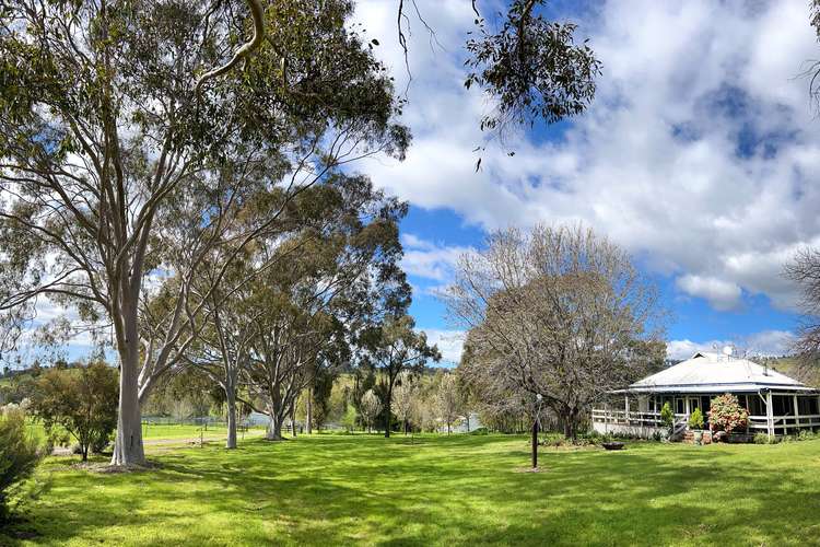 Main view of Homely livestock listing, 252 Welshs Road, Baddaginnie VIC 3670