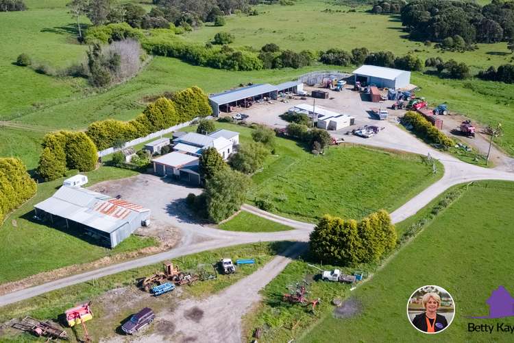 Second view of Homely livestock listing, 69 Marthicks Road, Smithton TAS 7330