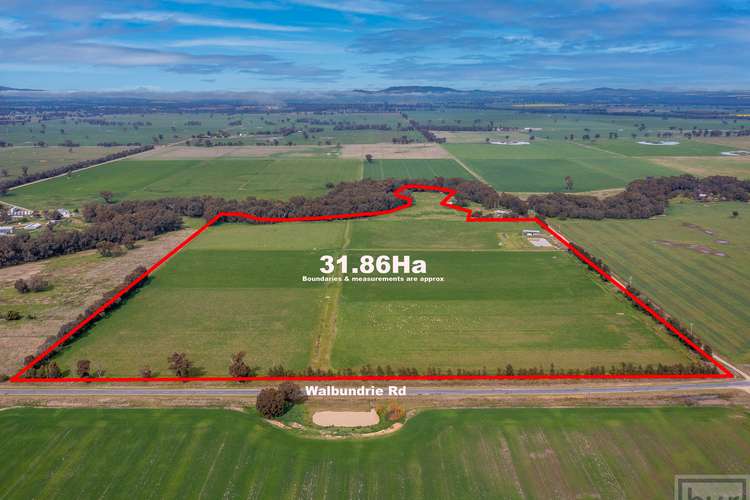 Main view of Homely mixedFarming listing, 679 Walbundrie Road, Culcairn NSW 2660