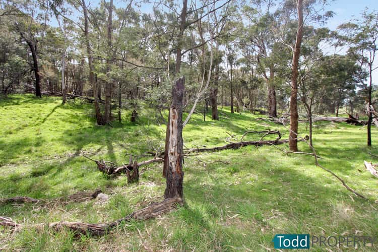 330 Paddys Dam Road, Tooborac VIC 3522